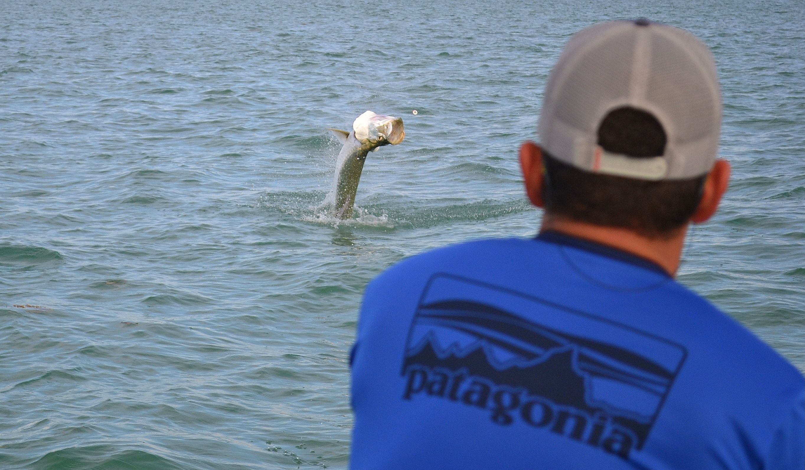 Angler holding mutton snapper caught on a 4 hour inshore fishing charter on Biscayne Bay Miami